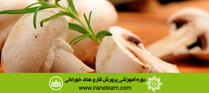 دوره آموزشی پرورش قارچ های خوراکی  Nurturing Edible mushrooms E-learningB