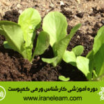 دوره آموزشی کارشناس ورمی کمپوست Vermicompost Expert E-learning