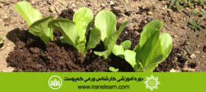 دوره آموزشی کارشناس ورمی کمپوست Vermicompost Expert E-learning