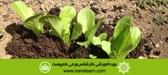 دوره آموزشی کارشناس ورمی کمپوست Vermicompost Expert E-learning