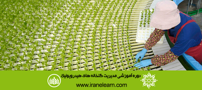 دوره آموزشی مدیریت گلخانه های هیدروپونیک Hydroponic Greenhouse Management E-learningB
