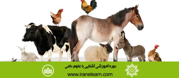 دوره آموزشی آشنایی با علوم دامی  Introduction to livestock Sciences E-learningB
