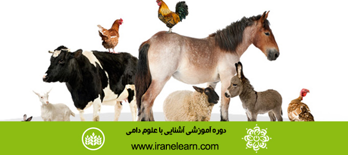 دوره آموزشی آشنایی با علوم دامی  Introduction to livestock Sciences E-learningB