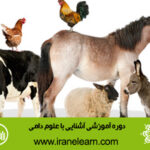 دوره آموزشی آشنایی با علوم دامی  Introduction to livestock Sciences E-learningB