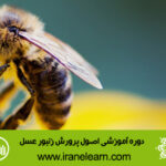 دوره آموزشی اصول پرورش زنبور عسل Principles of Beekeeping E-learningB
