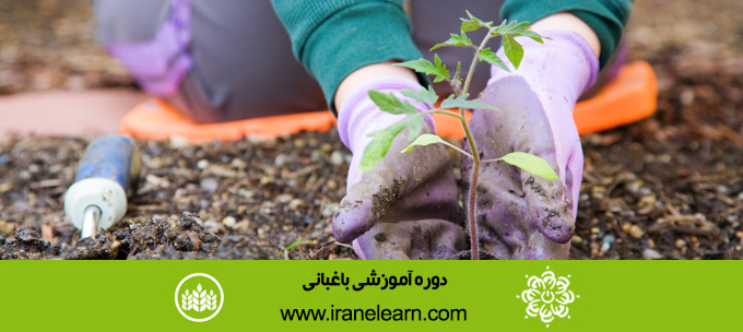 دوره آموزشی باغبانی Horticulture E-learningA