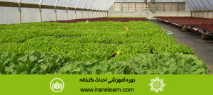 دوره آموزشی احداث گلخانه Greenhouse Construction E-learningB