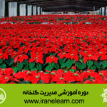 دوره آموزشی مدیریت گلخانه Greenhouse Management E-learning