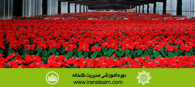 دوره آموزشی مدیریت گلخانه Greenhouse Management E-learning