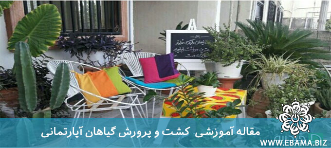 کشت و پرورش گیاهان آپارتمانی