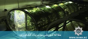 اصول کشاورزی ارگانیک و راهبرد توسعه کشاورزی ارگانیک در ایران