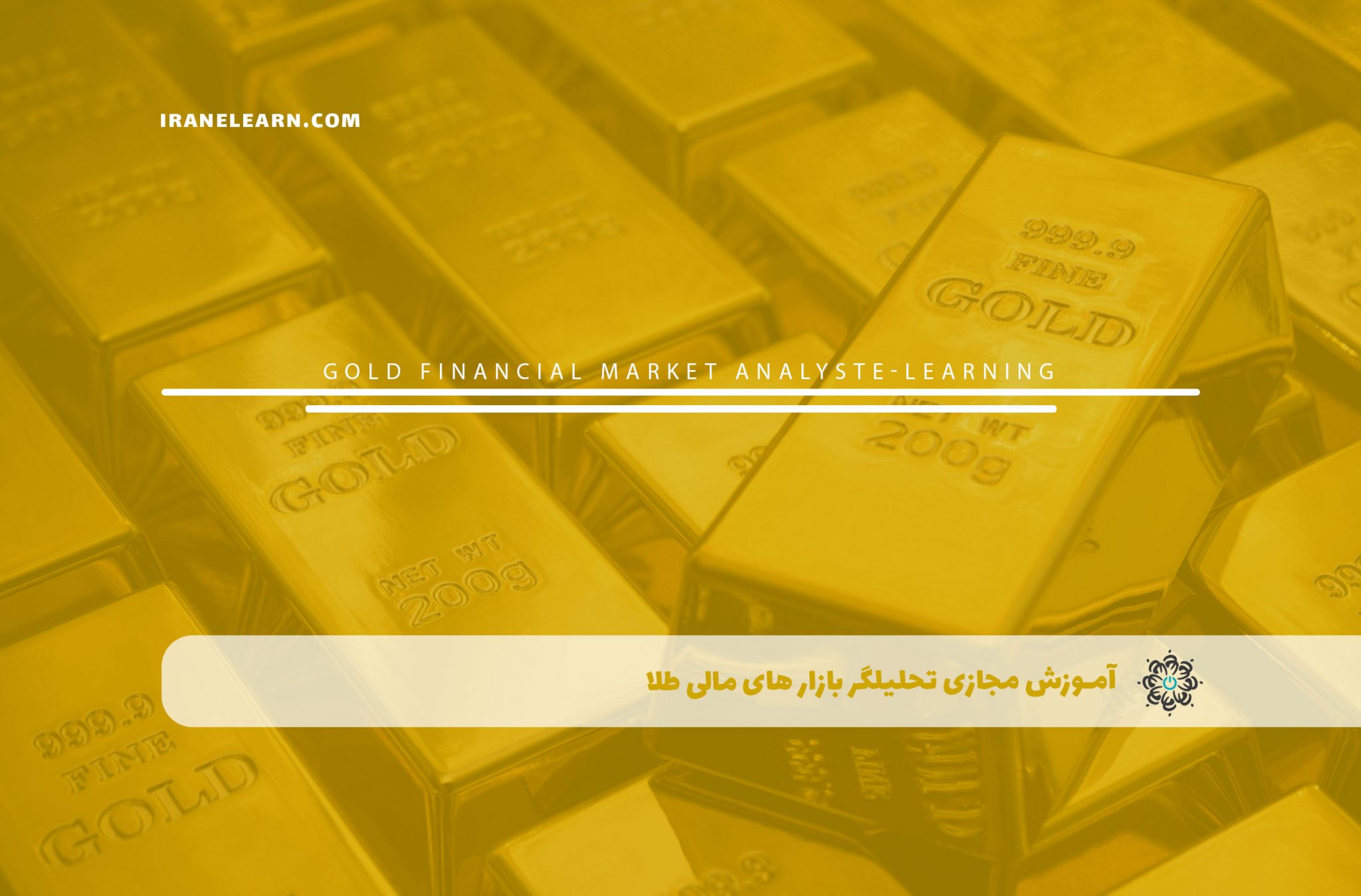 آموزش مجازی تحلیلگر بازار های مالی طلا Analysing gold Financial Markets