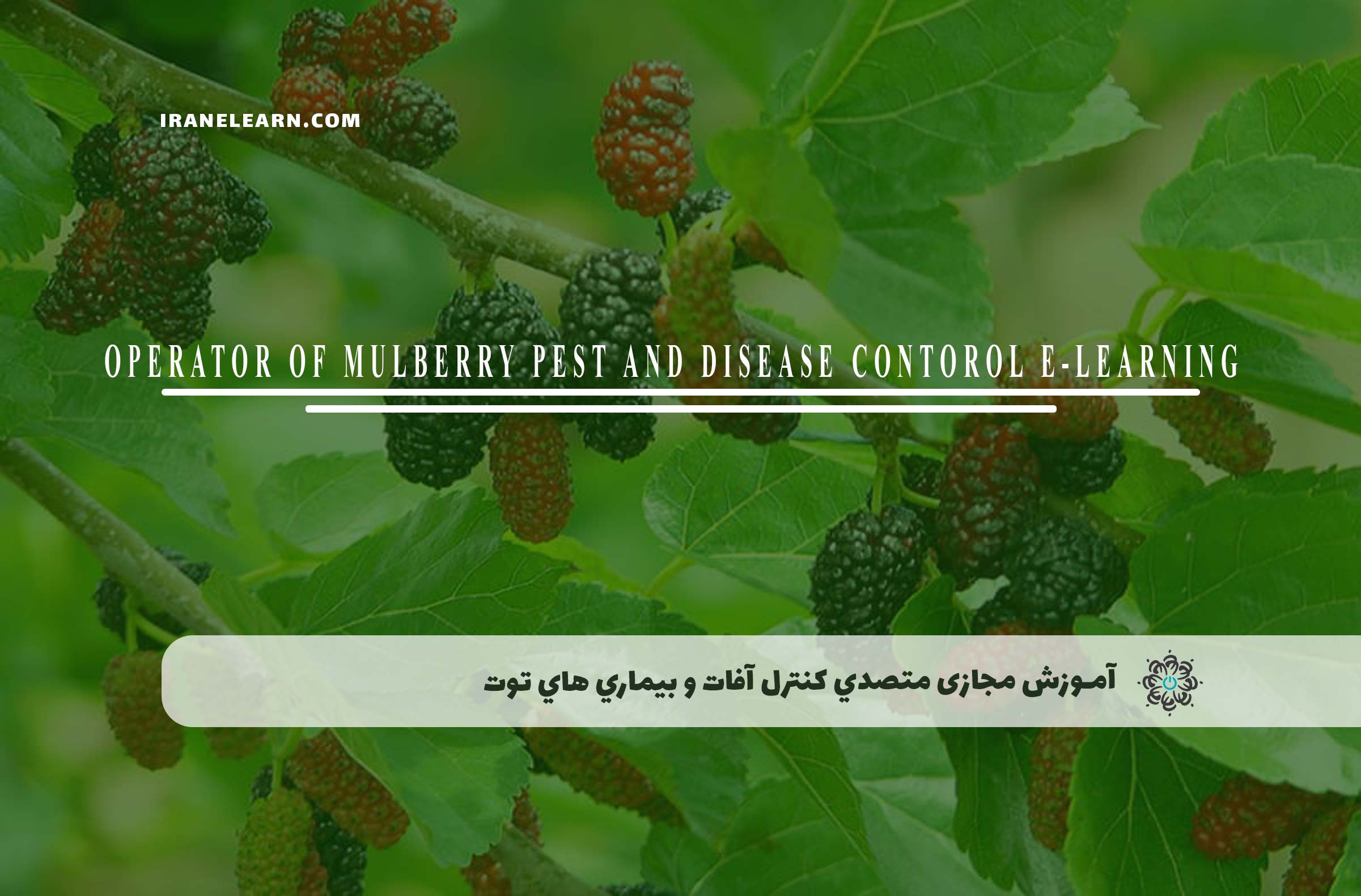 متصدي کنترل آفات و بیماري هاي توت