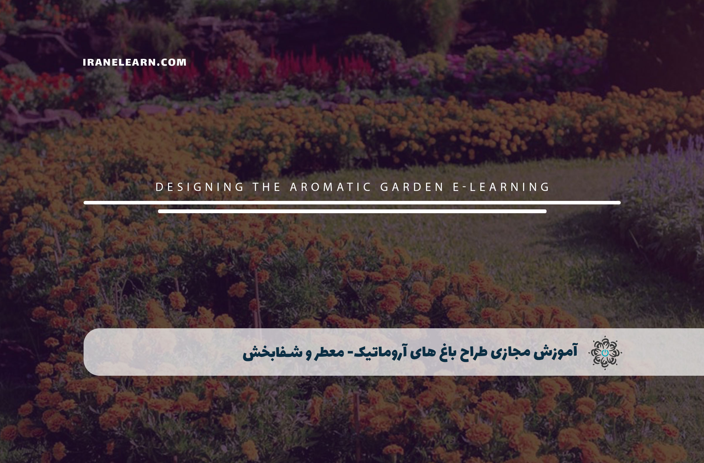 طراح باغ های آروماتیک معطر و شفابخش