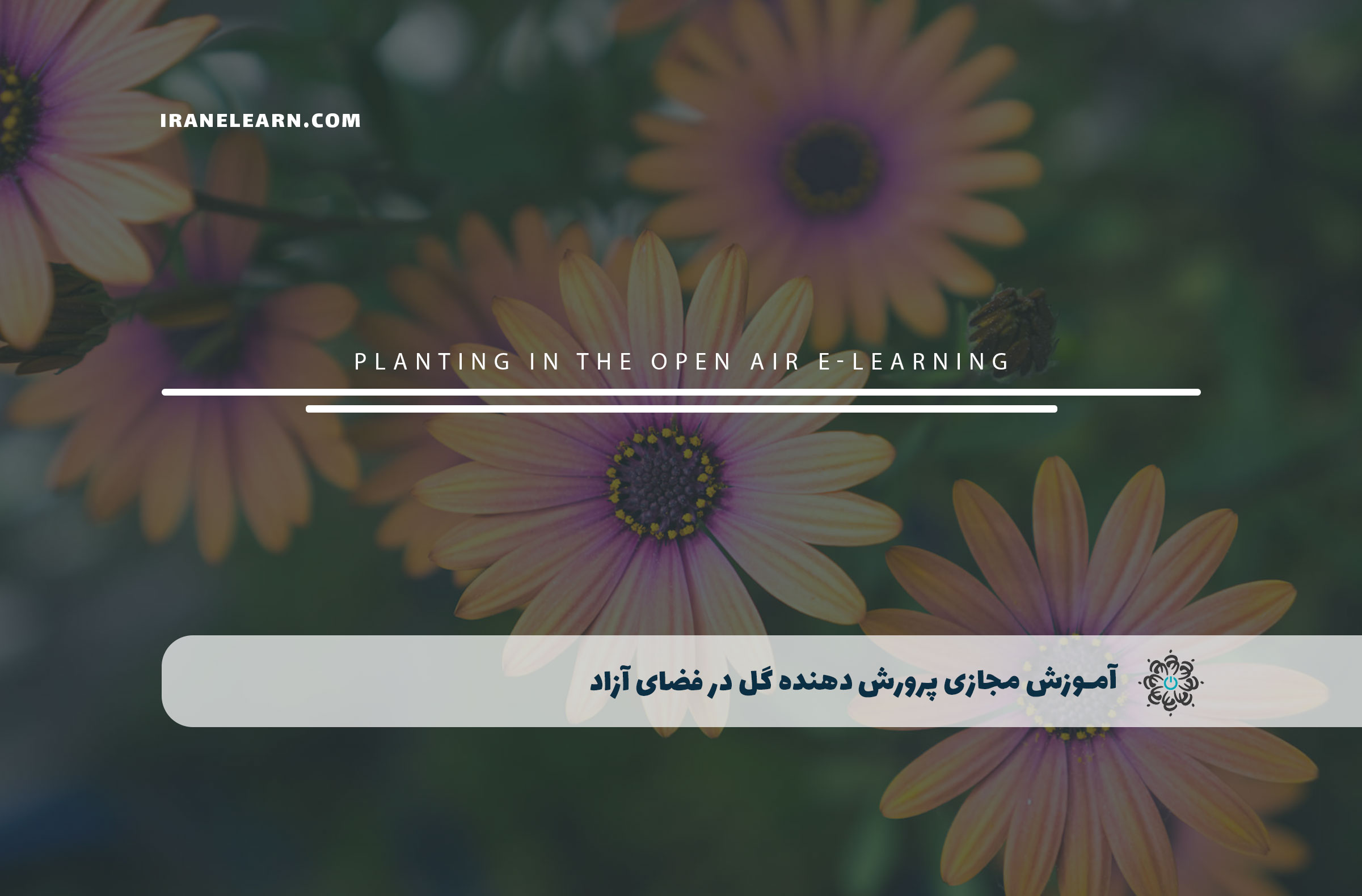 پرورش دهنده گل در فضای آزاد