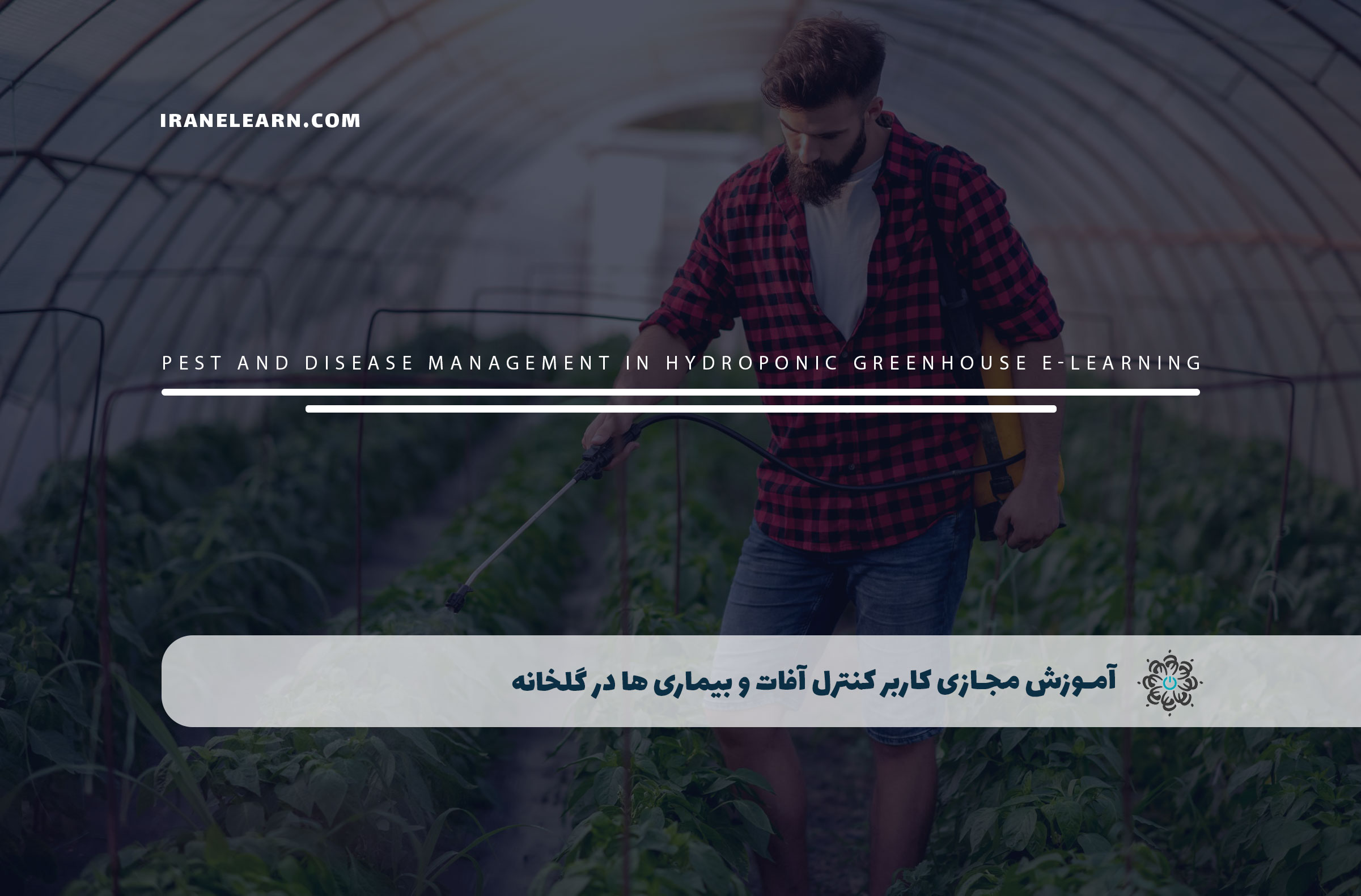 کاربر کنترل آفات و بیماری ها در گلخانه