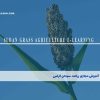 آموزش مجازی زراعت سودان گراس