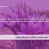 آموزش مجازی کشت گلخانه ای زعفران (فوگ پونیک)