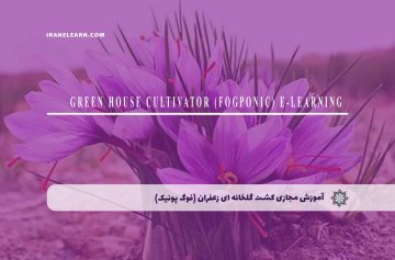 آموزش مجازی کشت گلخانه ای زعفران