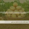 آموزش مجازی زراعت واستحصال سیب زمینی