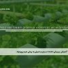 آموزش مجازی کشتکار گلخانه های هیدروپونیک